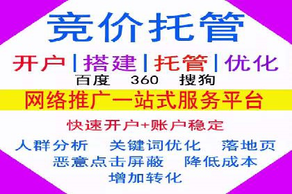 企业SEM托管服务成功案例分享